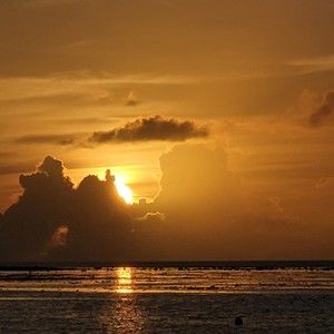 Meet your Posher, Jessica liana